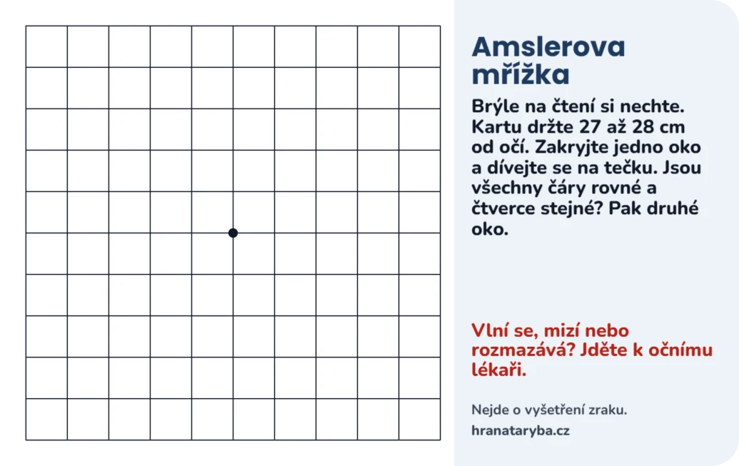 Amslerova mřížka a test čtení, ukázka karty