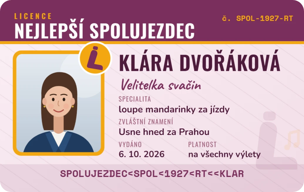 Nejlepší spolujezdec, ukázka karty
