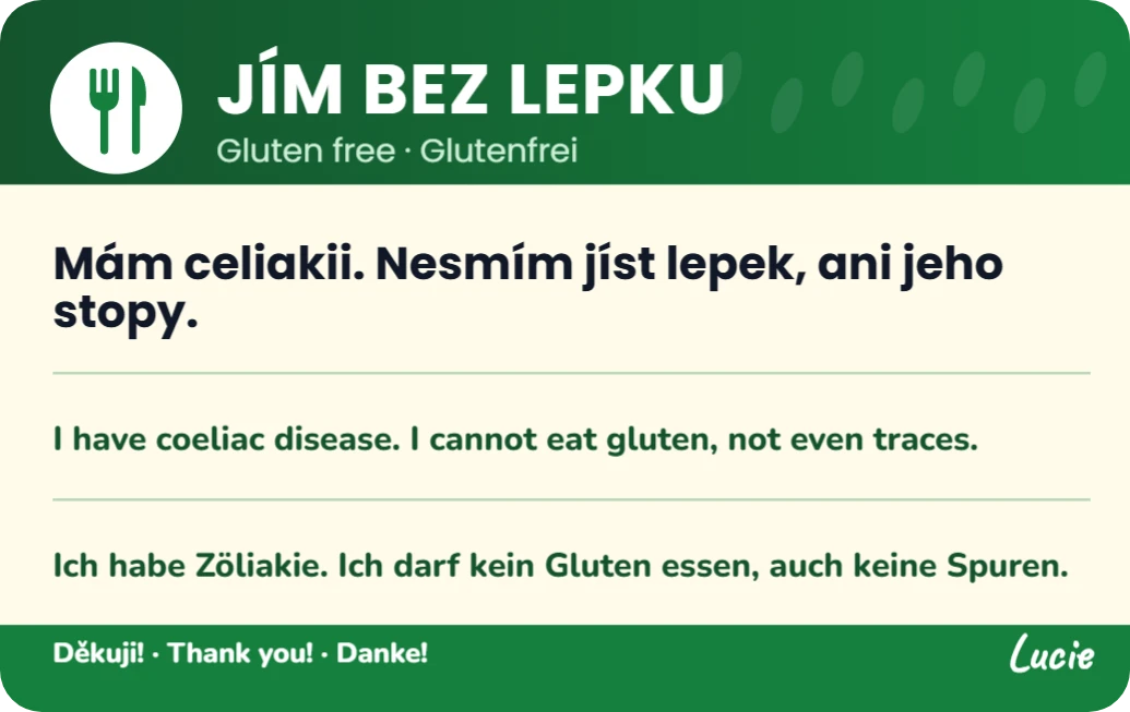 Bezlepková karta do restaurace, ukázka karty