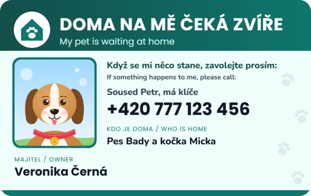 Doma na mě čeká zvíře, ukázka karty
