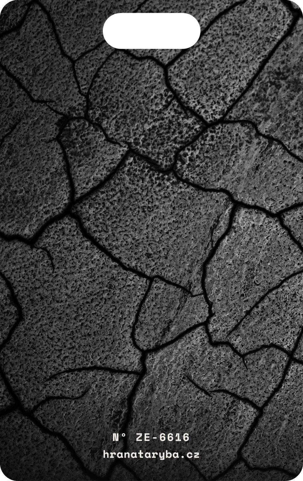 Vyprahlá zem, zadní strana
