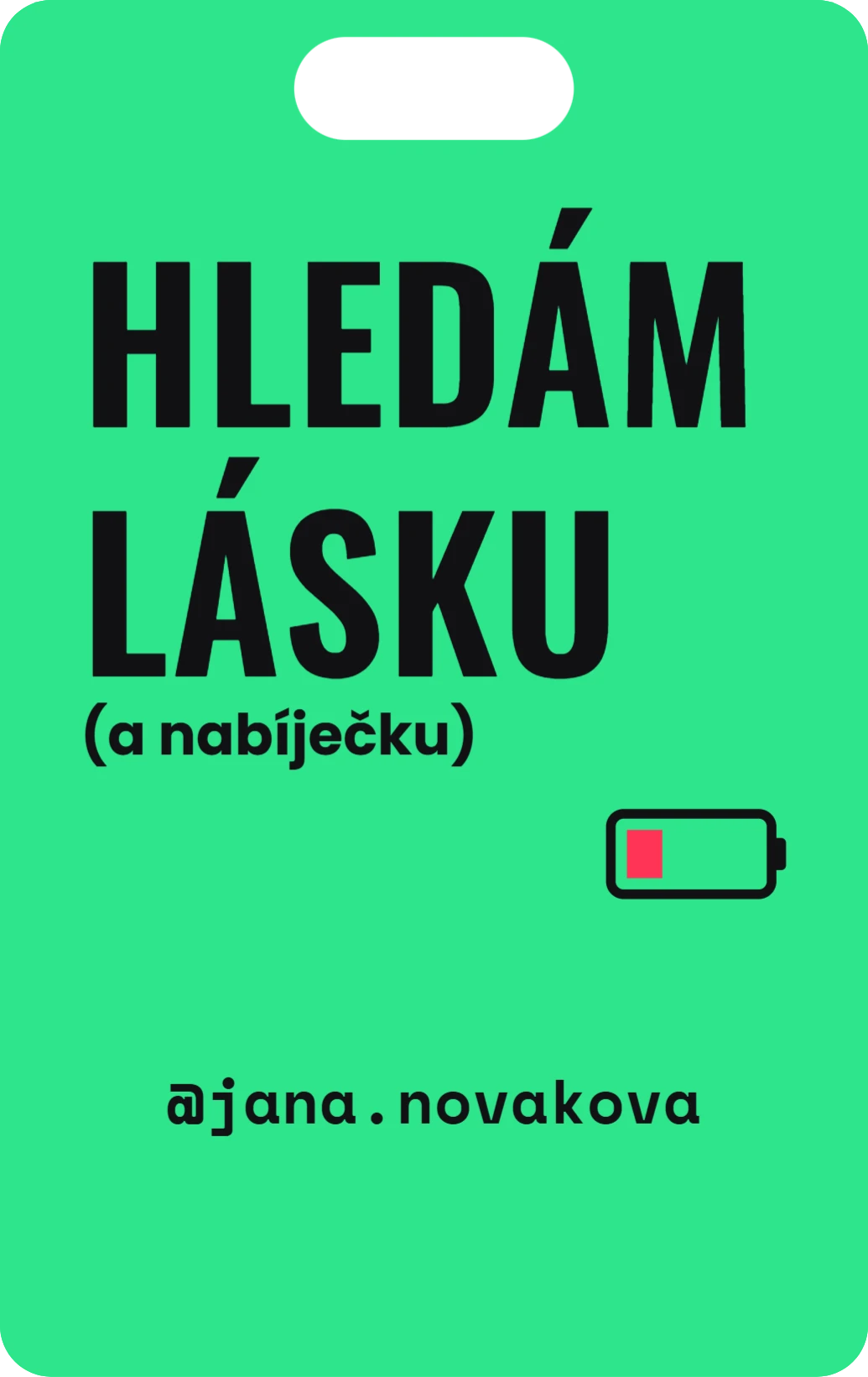 Hledám lásku (a nabíječku), ukázka karty