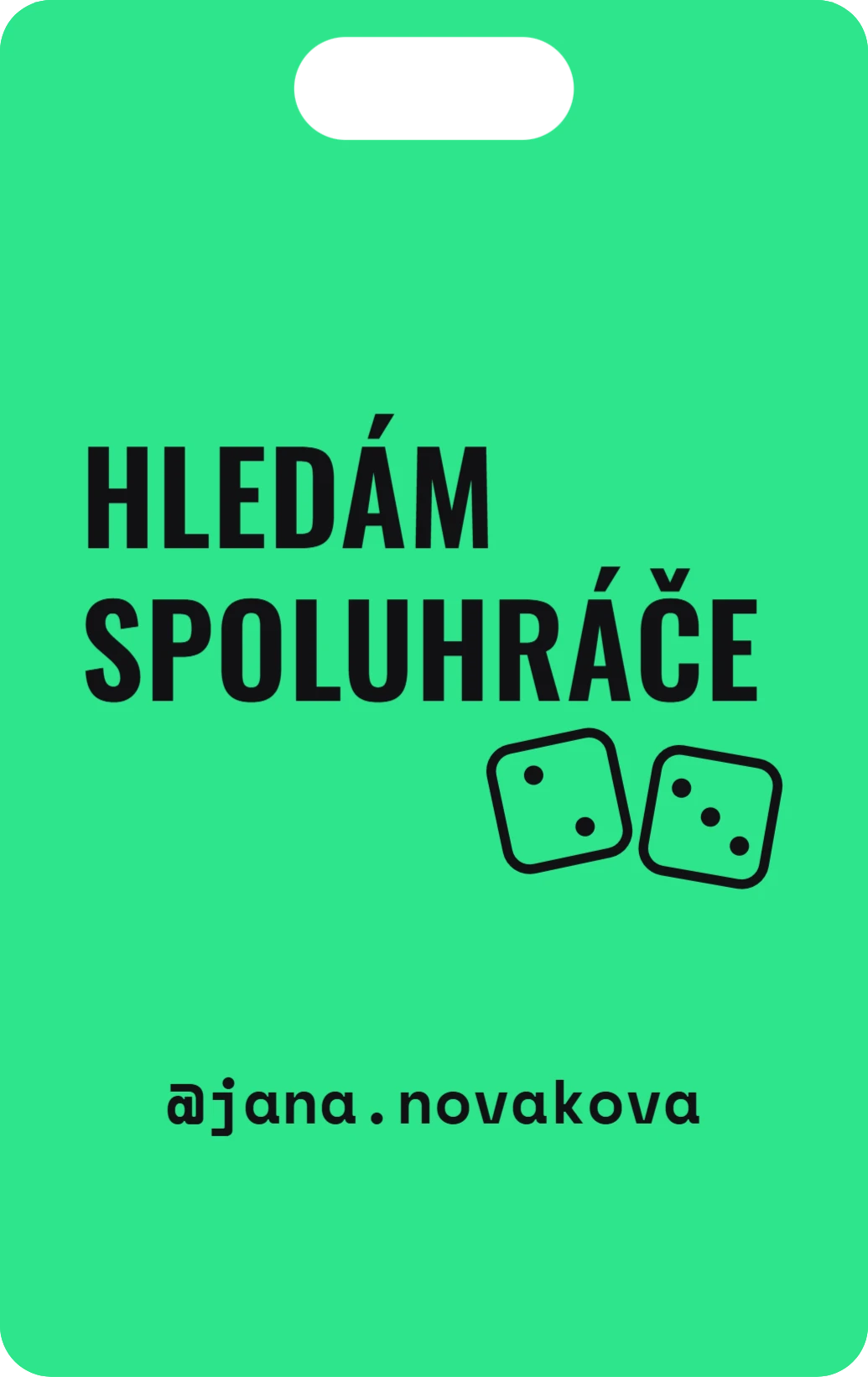 Hledám spoluhráče, ukázka karty