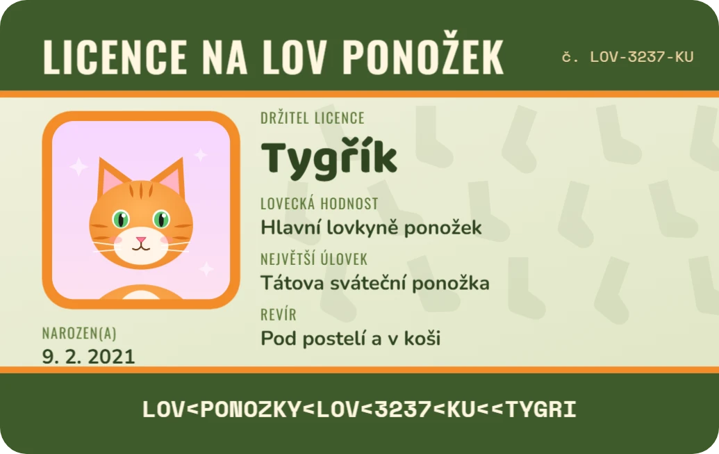 Licence na lov ponožek, ukázka karty