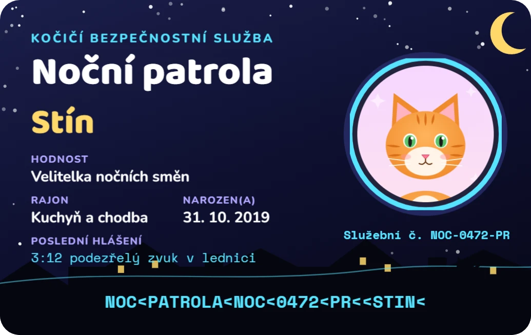 Průkaz noční patroly, ukázka karty