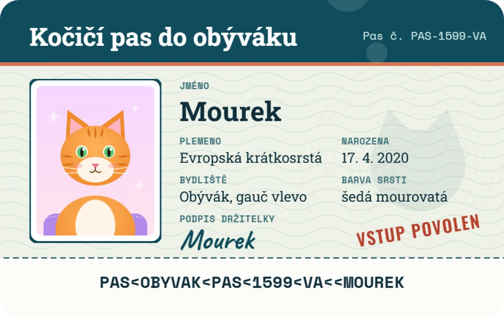 Kočičí pas do obýváku, ukázka karty