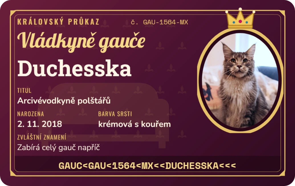 Průkaz vládkyně gauče, ukázka karty