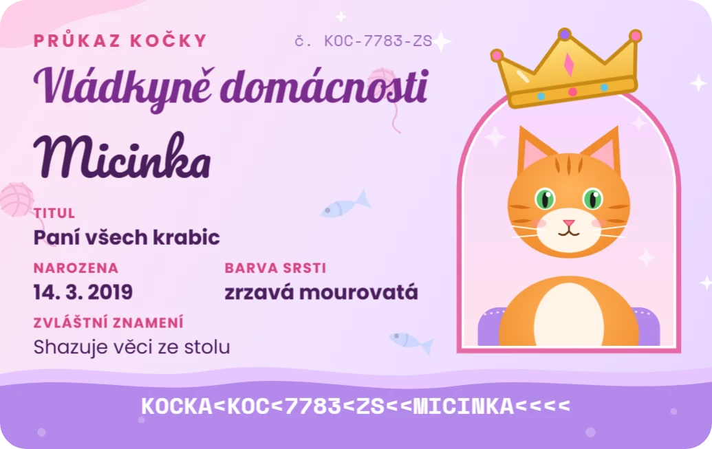 Průkaz vládkyně domácnosti, ukázka karty