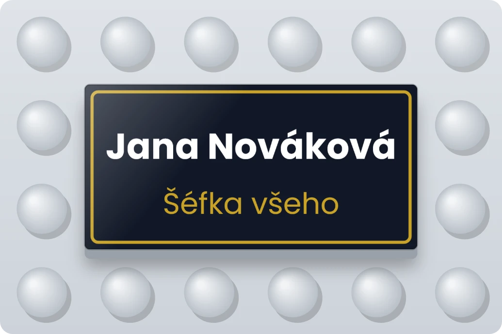 Jmenovka na stůl na dlaždici 2 × 4, ukázka karty