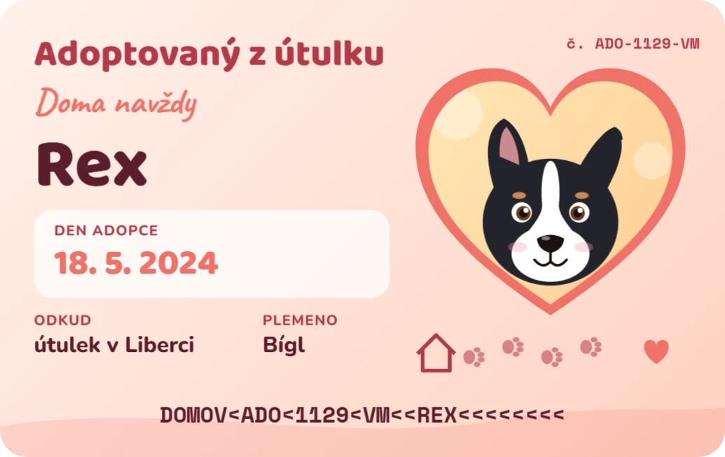 Adoptovaný z útulku, ukázka karty