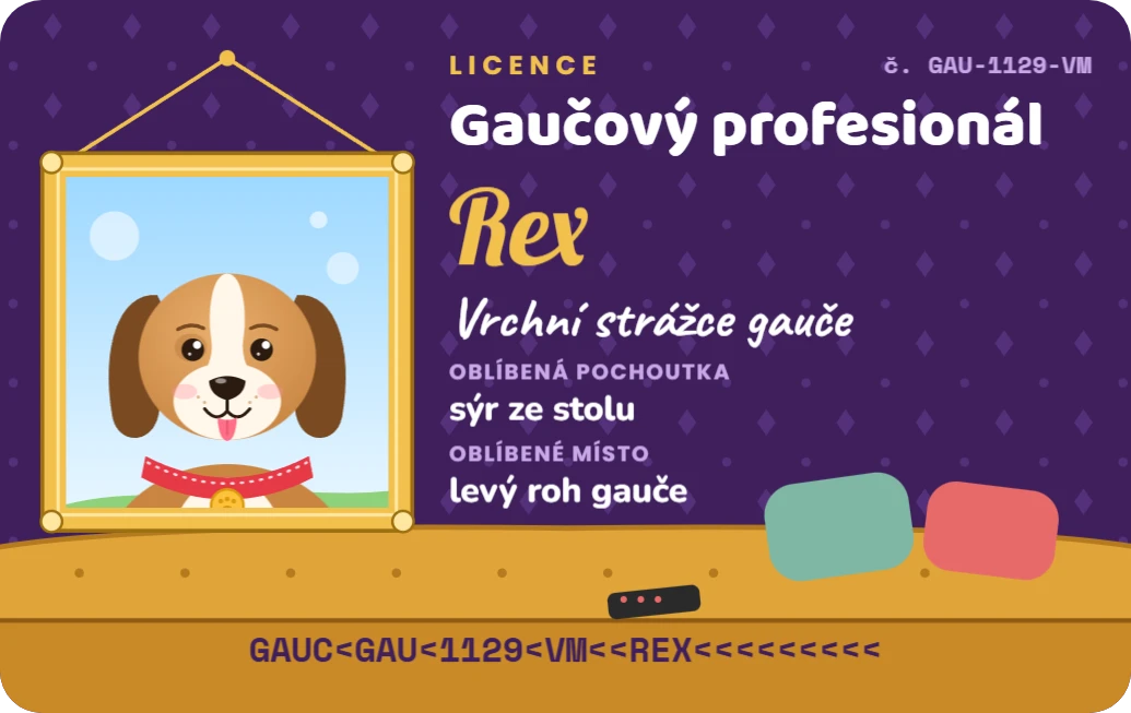 Licence gaučového profesionála, ukázka karty