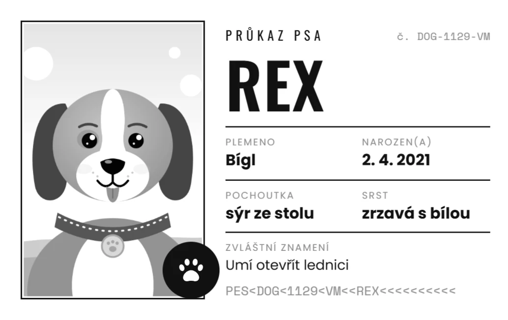 Minimalistický černobílý průkaz, ukázka karty