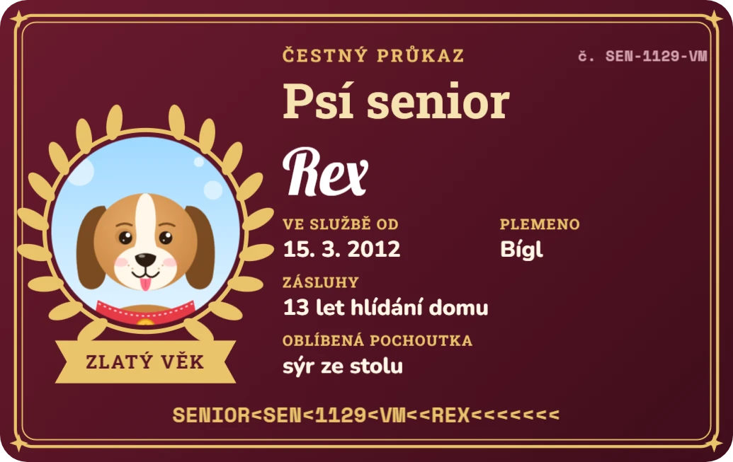 Čestný průkaz psího seniora, ukázka karty