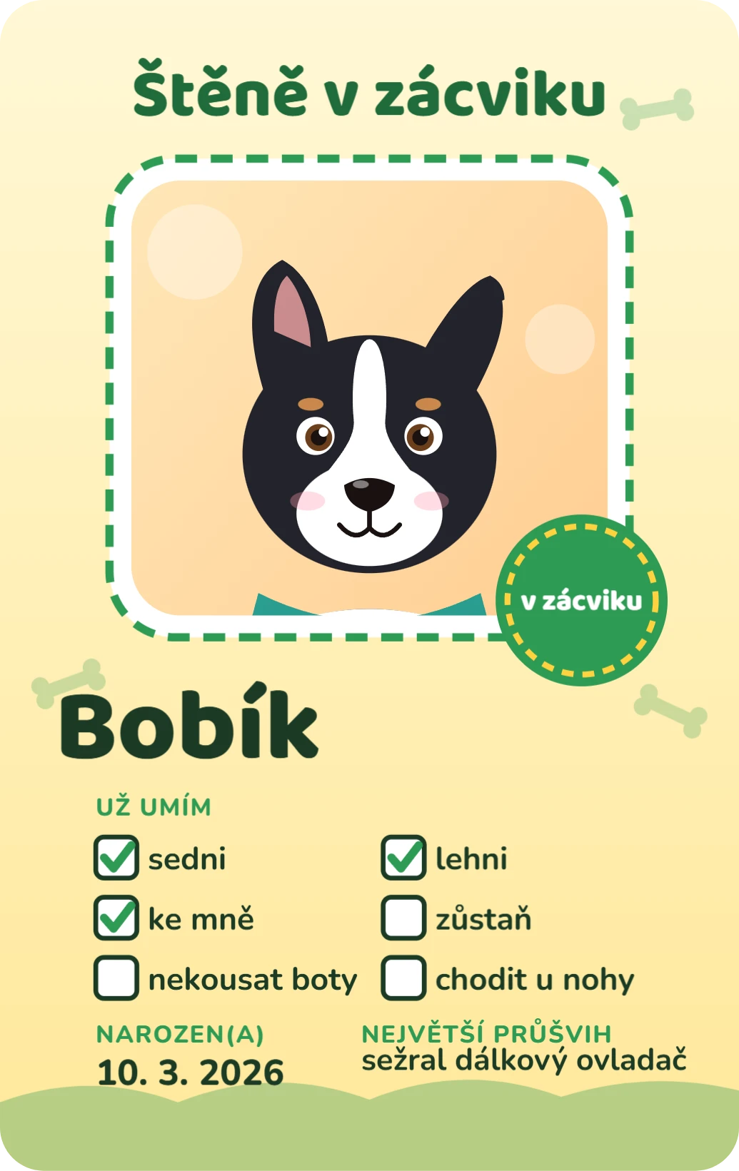 Štěně v zácviku (na výšku), ukázka karty