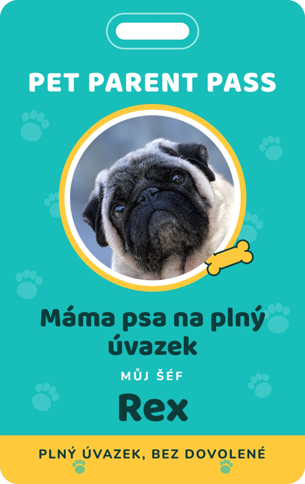 Pet parent pass, ukázka karty