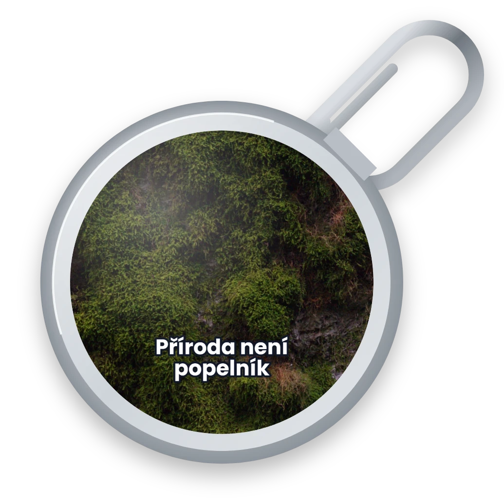 Mech: fotografie na víčku, přední strana