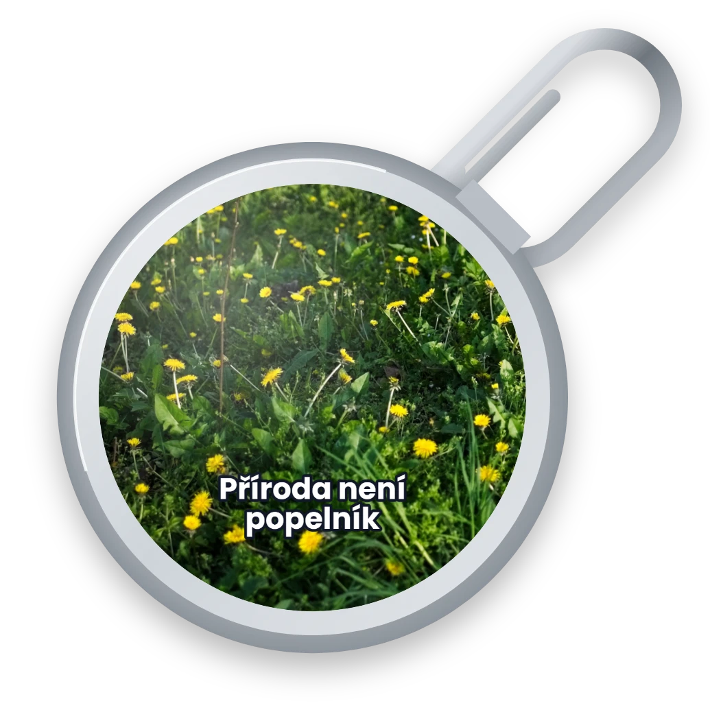 Pampelišky: fotografie na víčku, přední strana