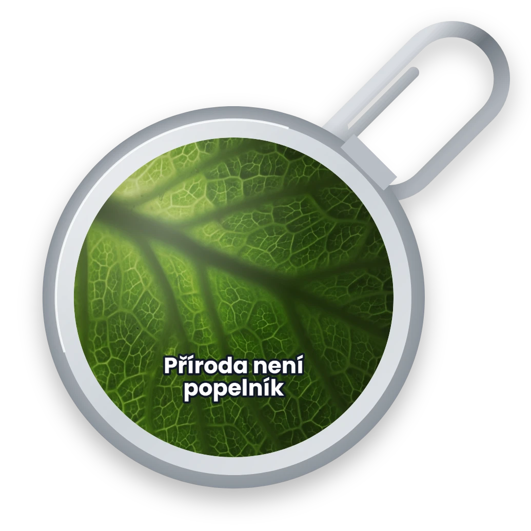 Žilky listu: fotografie na víčku, přední strana