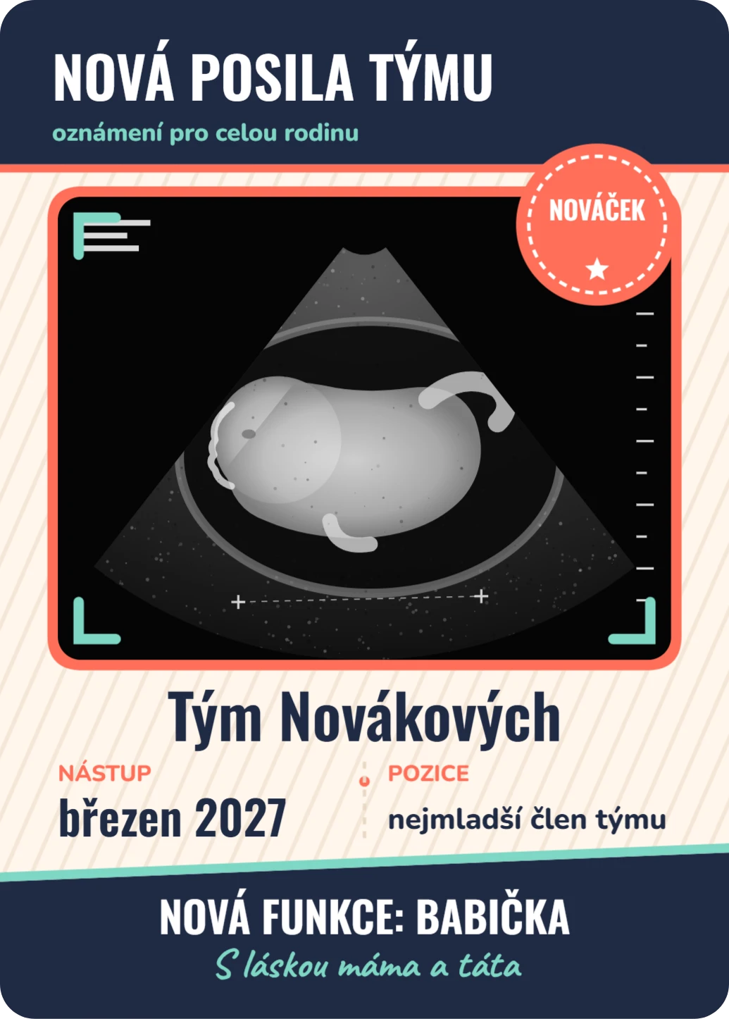 Nová posila týmu, ukázka karty