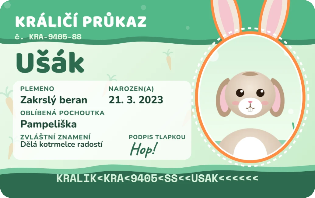 Průkaz králíka, ukázka karty