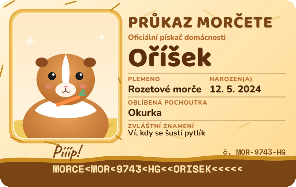 Průkaz morčete, ukázka karty