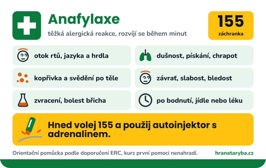 Anafylaxe: těžká alergická reakce, ukázka karty