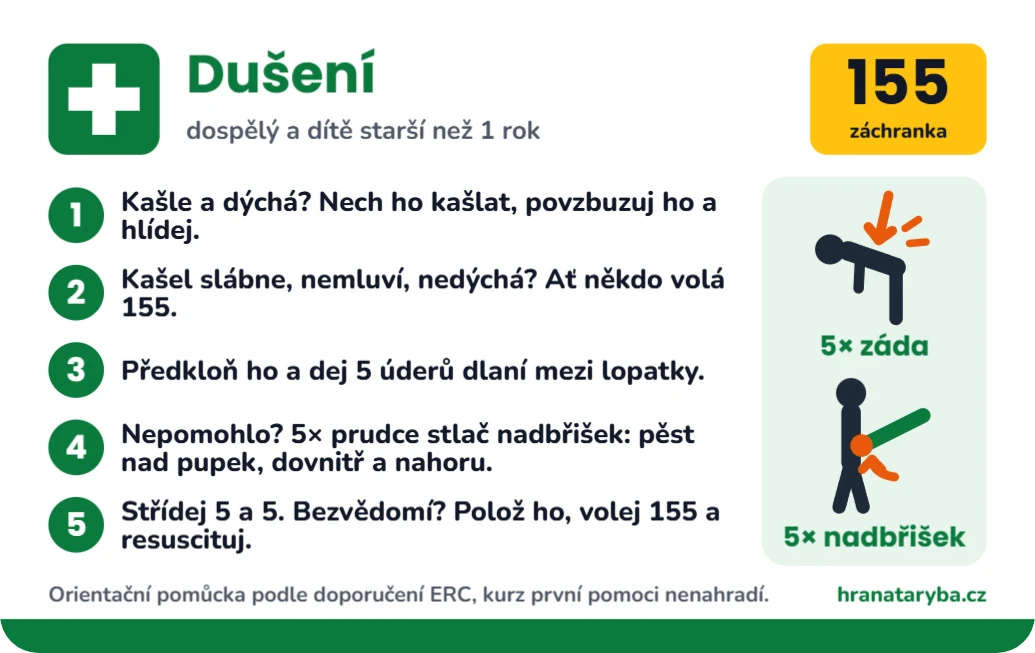Dušení: dospělý, dítě a kojenec, ukázka karty