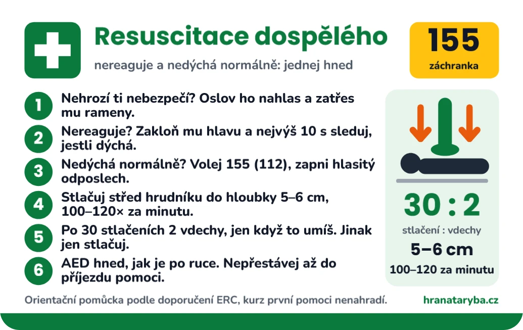 Resuscitace dospělého krok za krokem, ukázka karty