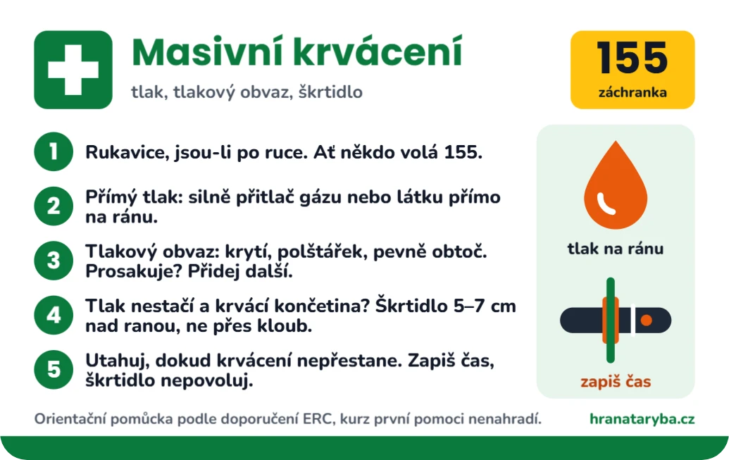 Krvácení, popáleniny a zlomeniny, ukázka karty