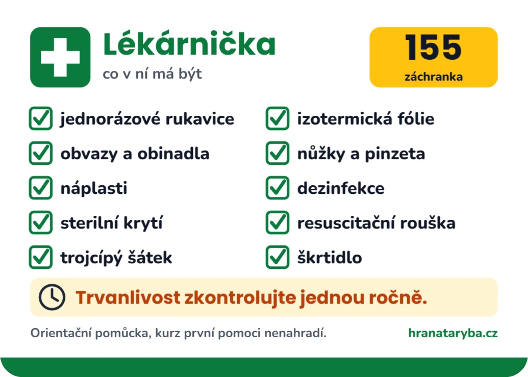Magnetka na lékárničku: co v ní má být, ukázka karty