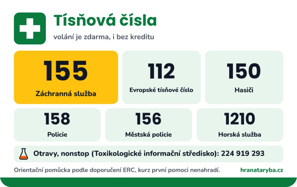 Tísňová čísla a co říct dispečerovi, ukázka karty