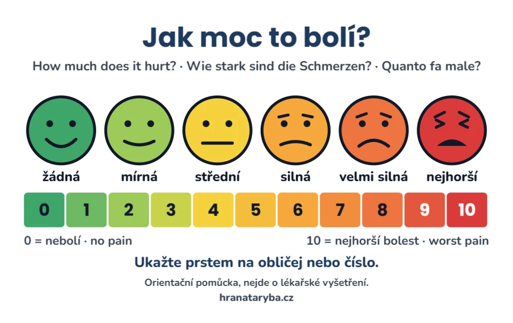 Škála bolesti 0 až 10 s postavou, ukázka karty