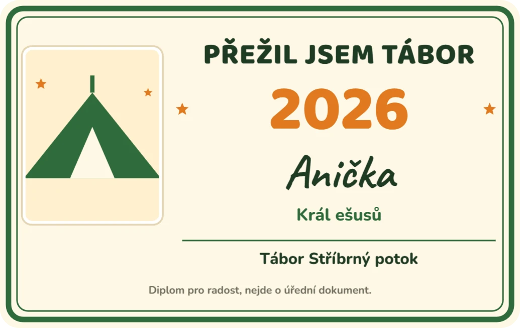 Diplom Přežil jsem tábor, ukázka karty